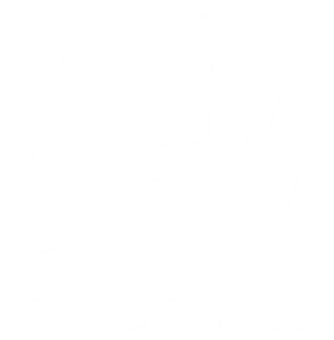 Hunza Harvest