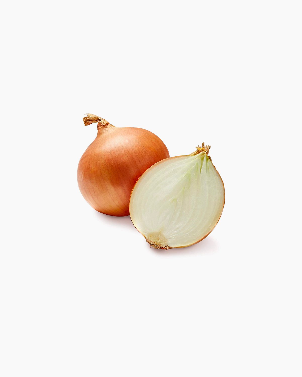 Onion